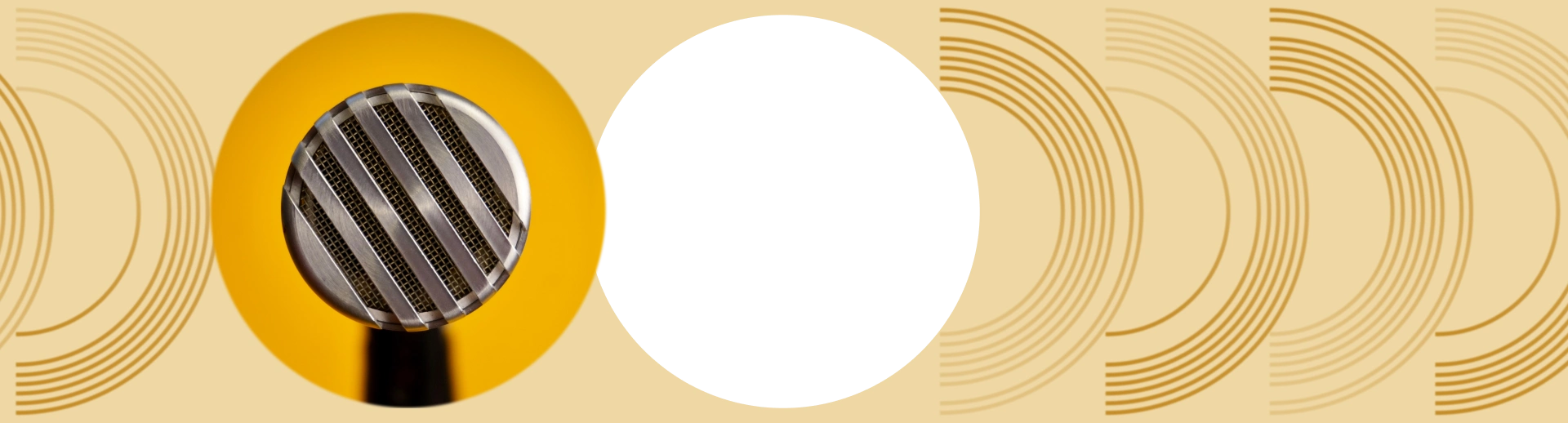 Soyuz V1 microphone close-up showing premium build quality and capsule design